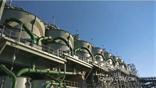 深化六個引領，建設一帶一路精品工程——礦冶集團南非PMC浮選廠總承包項目建設紀實