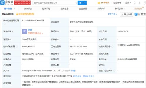 洞察動向 萬達商業設立投資公司，加碼價值投資領域